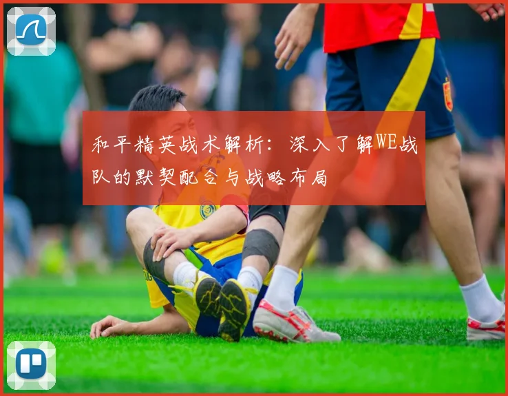 和平精英战术解析:深入了解WE战队的默契配合与战略布局