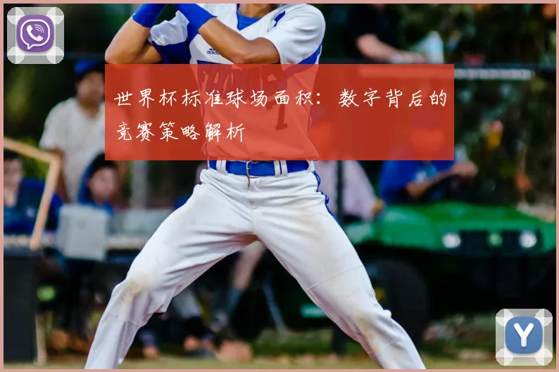 世界杯标准球场面积：数字背后的竞赛策略解析