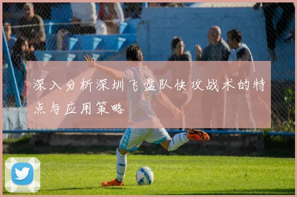 深入分析深圳飞盘队快攻战术的特点与应用策略