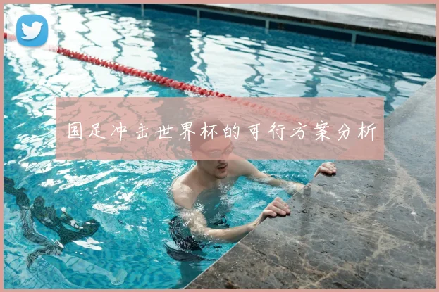 国足冲击世界杯的可行方案分析