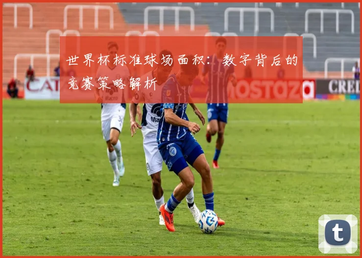 世界杯标准球场面积:数字背后的竞赛策略解析