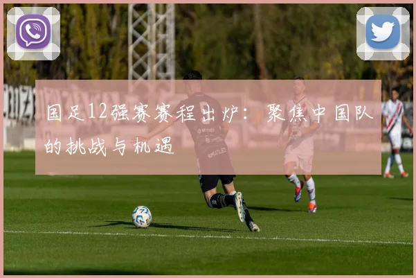 国足12强赛赛程出炉：聚焦中国队的挑战与机遇