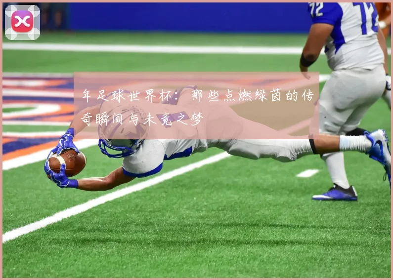 年足球世界杯:那些点燃绿茵的传奇瞬间与未竟之梦
