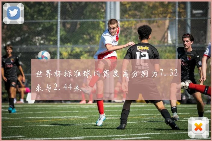 世界杯标准球门宽度高分别为7.32米与2.44米