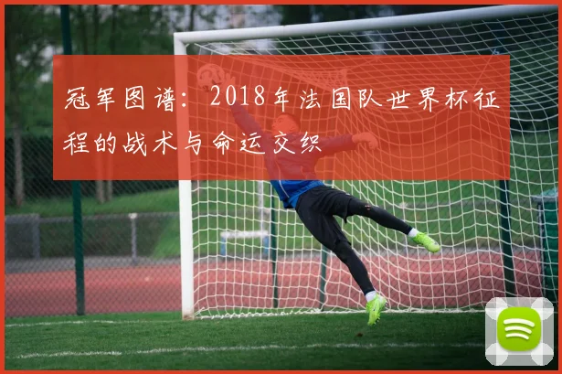 冠军图谱：2018年法国队世界杯征程的战术与命运交织