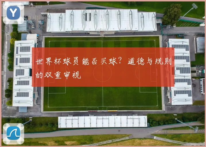 世界杯球员能否买球?道德与规则的双重审视